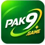 PAK9 Game